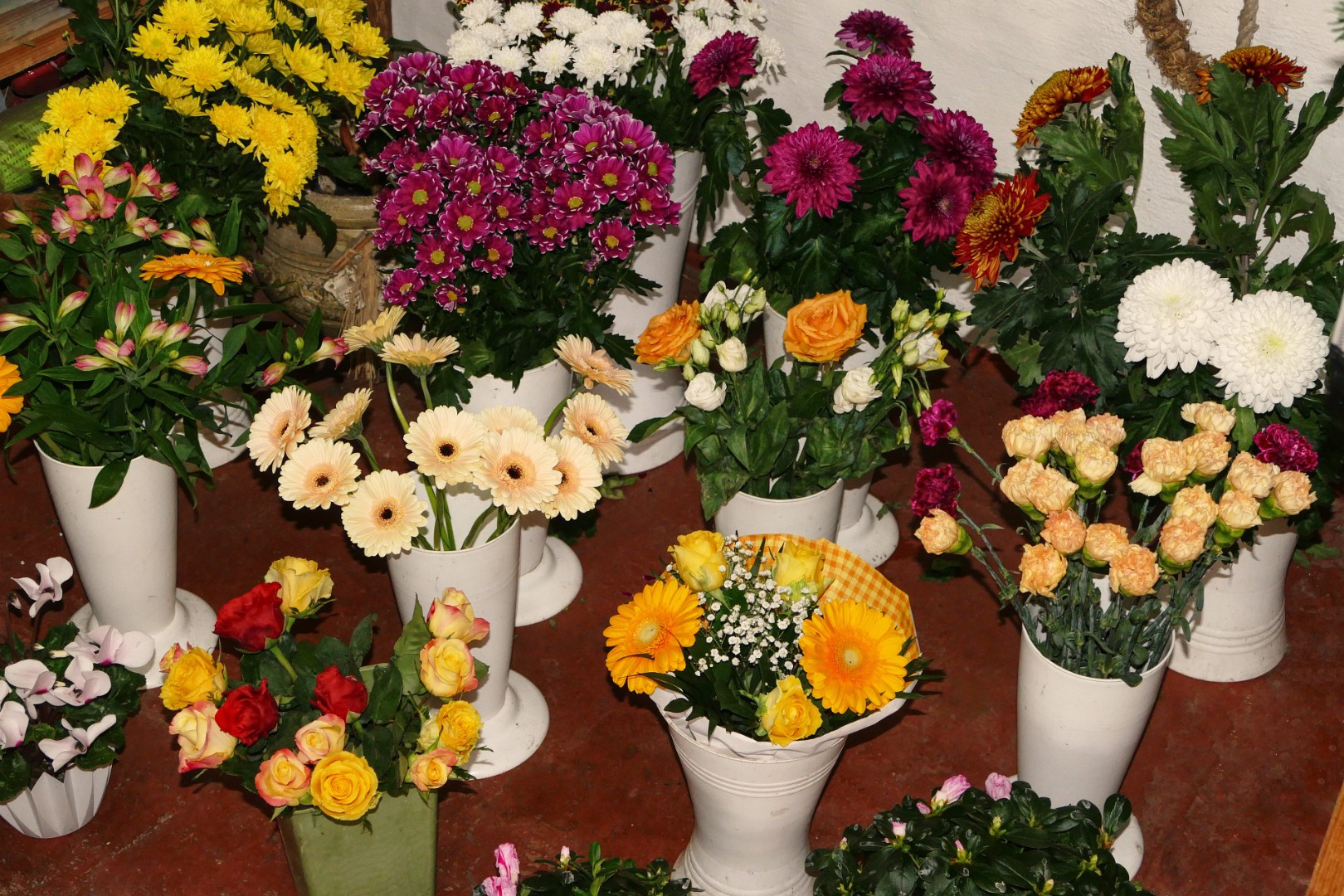 Blumen-Rose | Schnittblumen