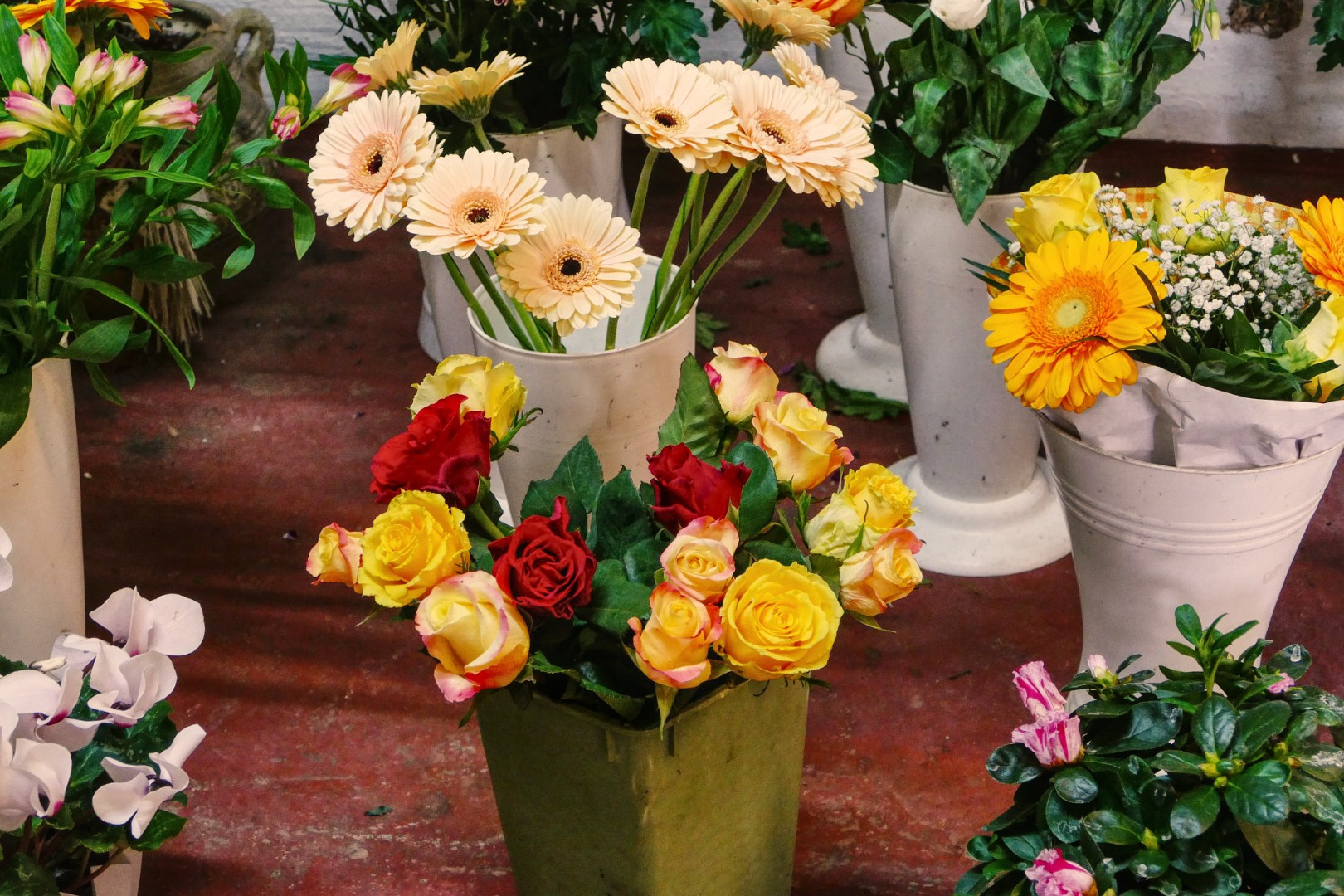 Blumen-Rose | Schnittblumen